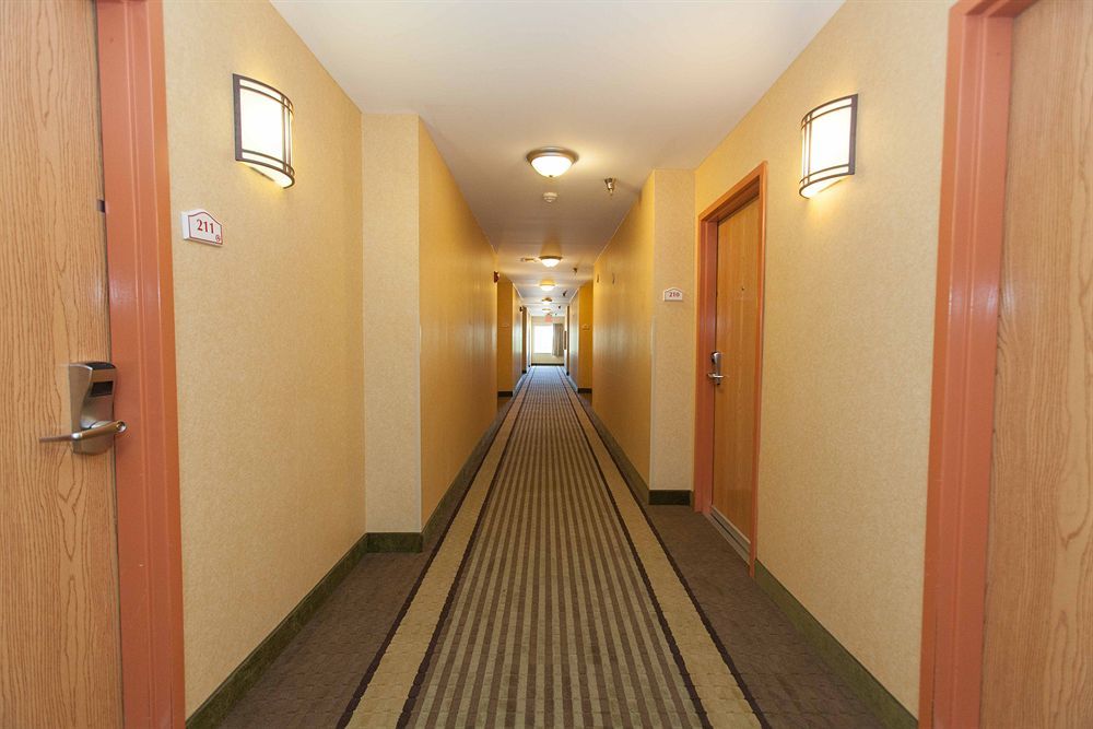 HomeTown Inn-Ringgold Bagian luar foto